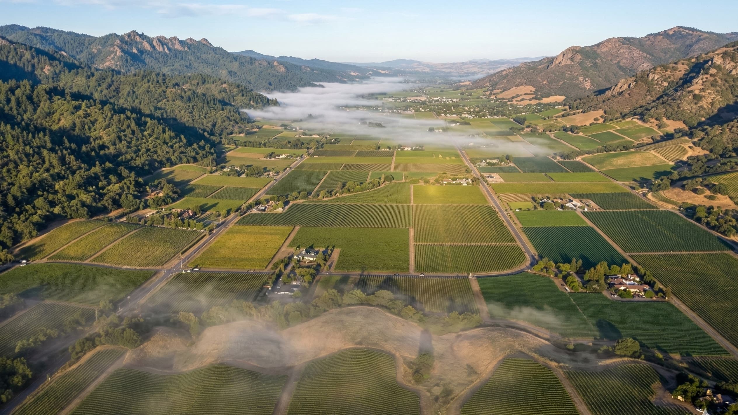 Napa Valley AVAs Explained: A Sub-Region Guide