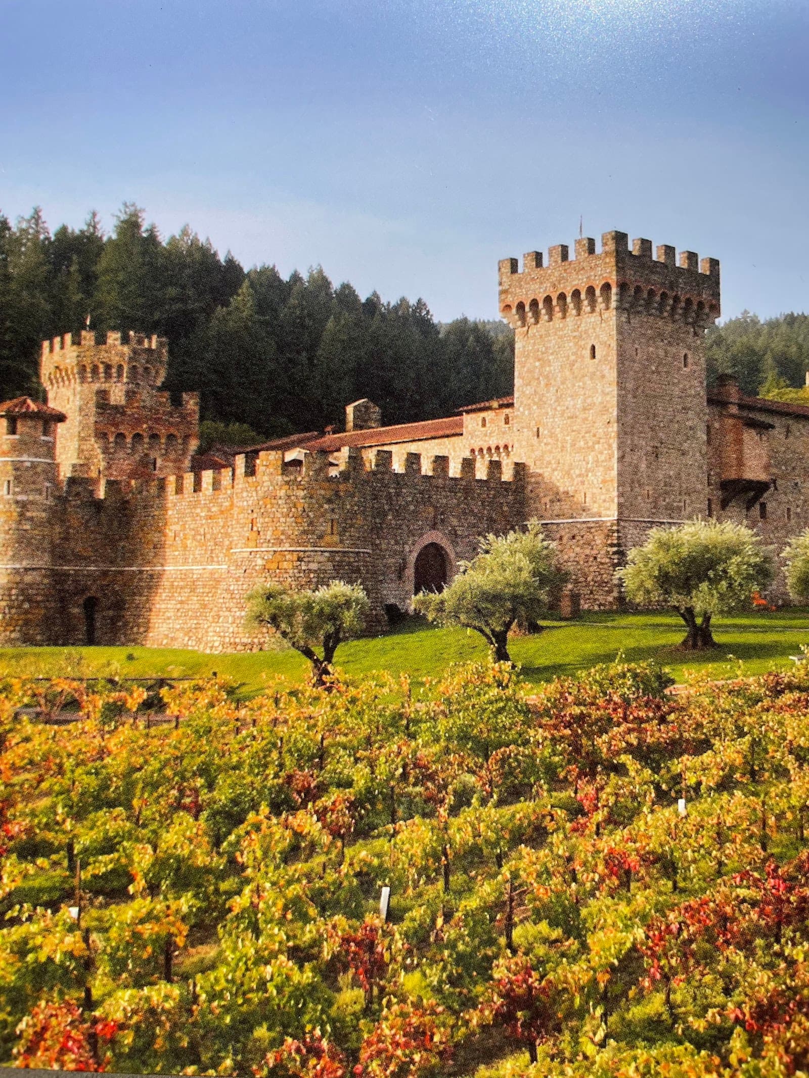 Castello di Amorosa