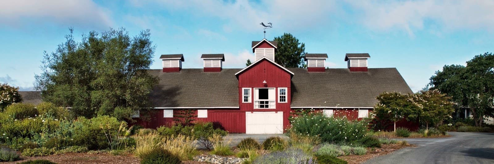 Frog's Leap Winery