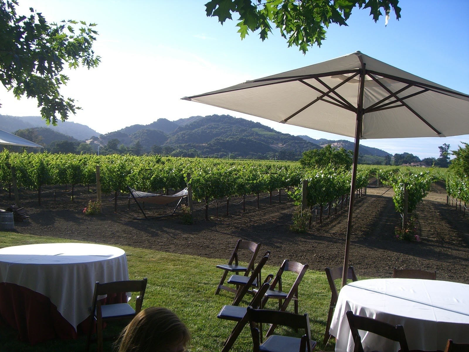 O'Brien Estate Winery